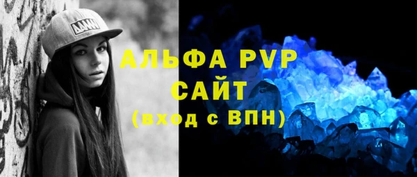 соль ск Тайга