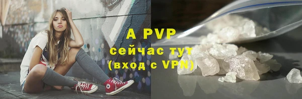 прущие грибы Балабаново