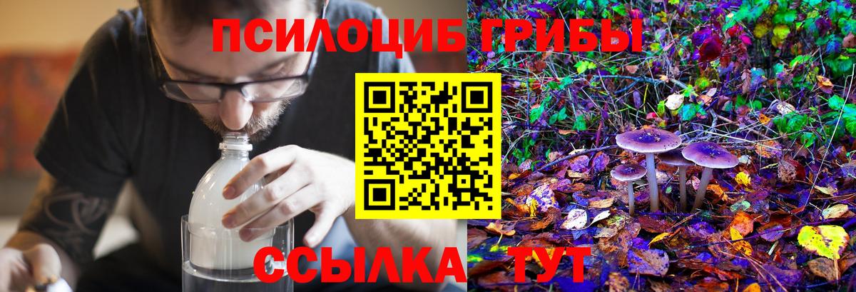 Галлюциногенные грибы Magic Shrooms Аша