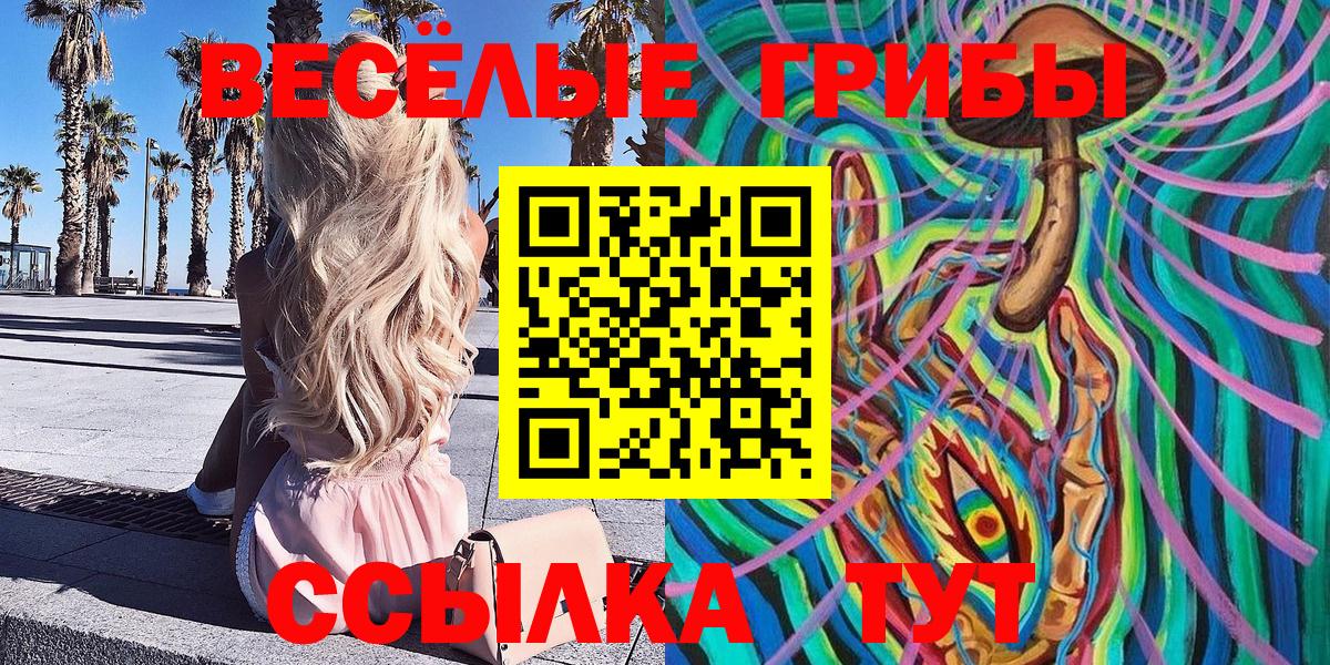 Псилоцибиновые грибы мухоморы  Вход с VPN  Аша  Псилоцибиновые грибы MAGIC MUSHROOMS 
